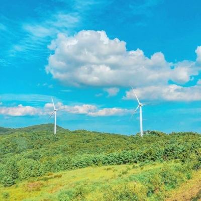 龙城争霸破解版下载