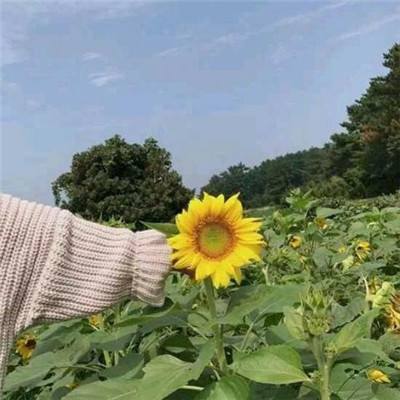 斗罗传说手游(暂未上线)v1.0.2 官方安卓版