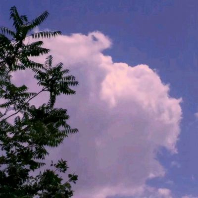 英魂狂暴录游戏