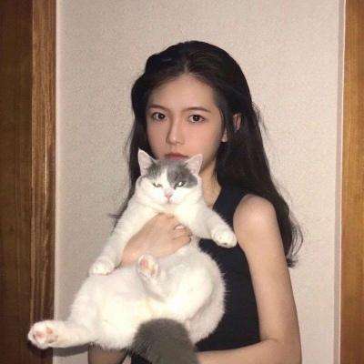 皓月怒斩内购破解版下载